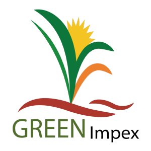 Green Impex logo